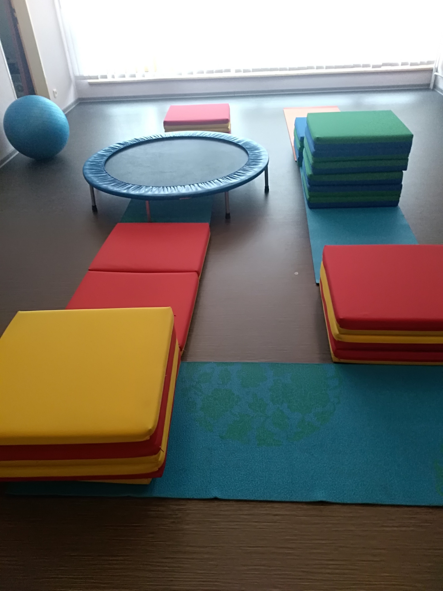 CVIČENÍ a SENZOMOTORICKÁ INTEGRACE